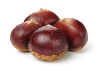 Chestnut on the white background