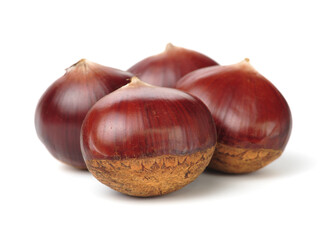 Chestnut on the white background