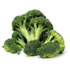 broccoli on a white background