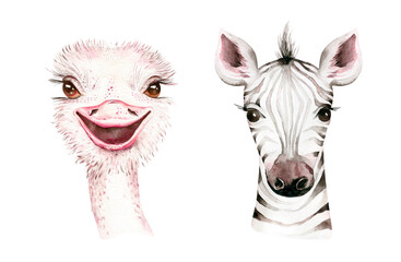Africa watercolor savanna zebra animal. African Safari cute animals portrait character.Perfect for wallpaper print, poster, packaging ,invitation, wedding design © kris_art