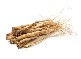 Root of Korean Bellflower (Platycodon grandiflorus) commonly known as Doraji isolated on white background. Is popular vegetable in Korea, also used in traditional Chinese medicine