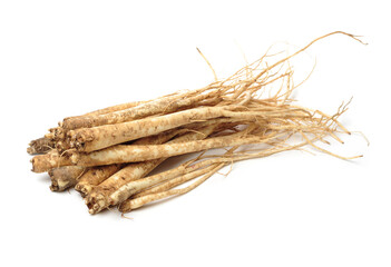 Root of Korean Bellflower (Platycodon grandiflorus) commonly known as Doraji isolated on white background. Is popular vegetable in Korea, also used in traditional Chinese medicine