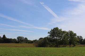 Kondensstreifen auf blauem Himmel blau Felder Wiese