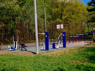 Fototapeta na wymiar sports ground on the edge of the forest in spring