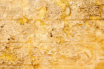 texture of a yellow stone wall covered, space for text, space for copy