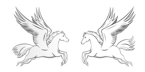 White Horse with flying wings or Pegasus drawing in vector