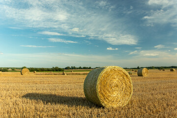 Huge hay bales in the field, white clouds on the blue sky
