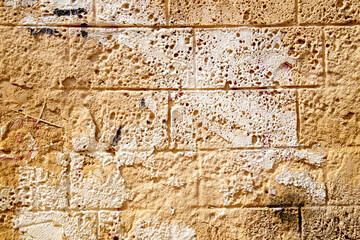 texture of a yellow stone wall covered, space for text, space for copy