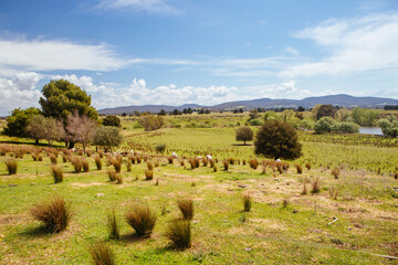 Lancefield Rural Landscape in Australia