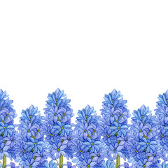 Fototapeta premium Floral watercolor seamless border with blue hyacinths on white background. For decorating wallpaper, wrapping paper, fabric, postcards.
