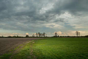 Green meadow and dark clouds on the sky