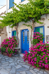 Fototapeta na wymiar Traditional alley with a narrow street, whitewashed houses and a blooming bougainvillea in pyrgos Tinos island, Greece.