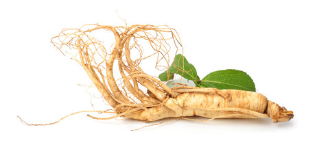 Fresh ginseng slices on white background.