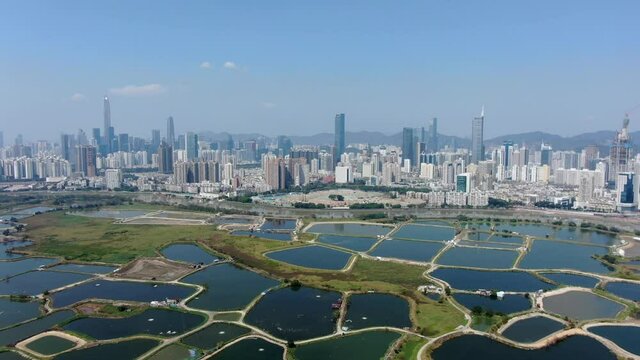 Aerial view over Shenzhen skyline on a beautiful clear day.