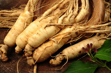 ginseng and slices ,medicine background.