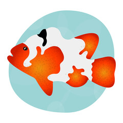 Beautiful and bright realistic tropical fish carp koi. Element for design of sign, label, packing. Cool print for clothes, cups, plates, goods. Logo for seafood, fish restaurant, pet store.