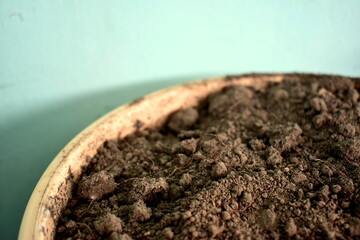 soil in flower plastic pot