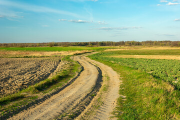 Fototapeta na wymiar A winding dirt road through fields and blue sky