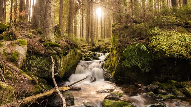 waterfall in the woods time lapse nature