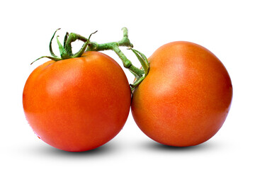 tomatoes isolated on white background