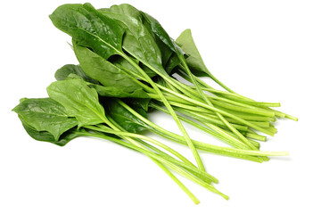 spinach leaf on white background.