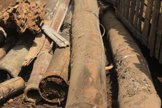rotten bamboo