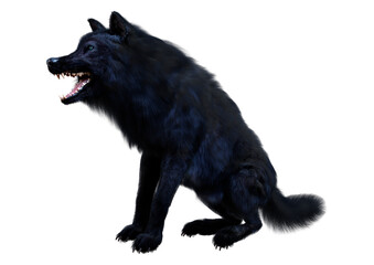 3D Rendering Black Wolf on White