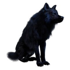 3D Rendering Black Wolf on White