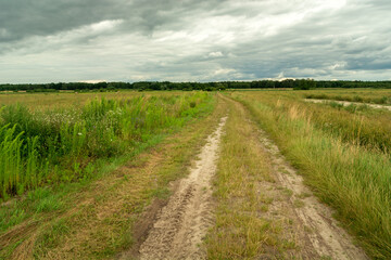 Fototapeta na wymiar Country road through meadows and cloudy sky