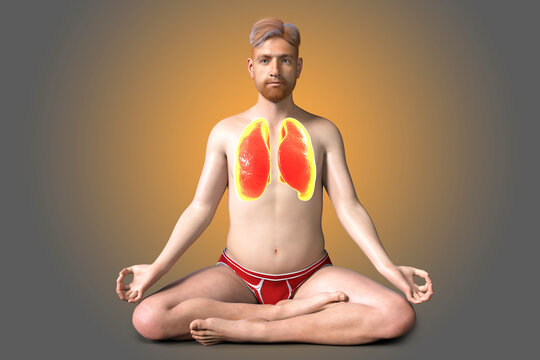 A man in Lotus yoga position, or Padmasana, with highlighted lungs