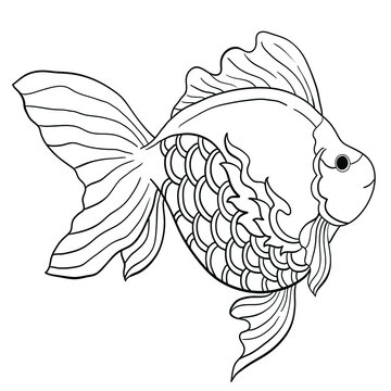 recommend clip art: Goldfish line art cartoon, Thai style