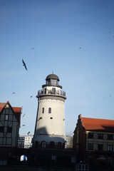 a flock of birds flies around the old lighthouse