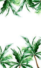 Background frame palms watercolor palms on white wallpaper. Template for decorating designs and illustrations.
