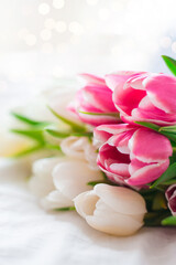 Pink and white Tulips isolated on white cloth background with copy space. Minimal floral mock up concept. Valentine's Day, Easter, Birthday, Happy Women's Day postcard