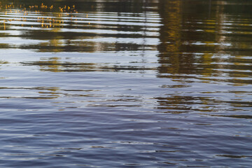 The water surface of the blue river with reflections of trees in the calm water