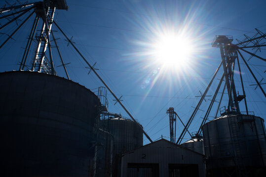 Large grain bins at grain elevator business are silhouetted black against the bright sun and blue sky. corn, soybean storage containers, farm, farming, harvest, seed, food, store, 