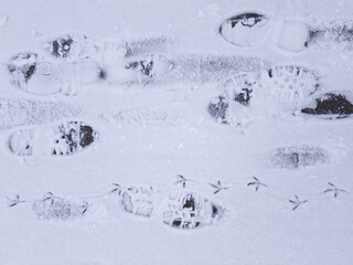 Footprints on the snowy sidewalk.