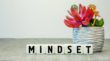 Soft cubes with the abbreviation MINDSET with a flower