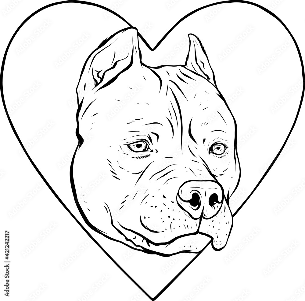 Poster draw in black and white of pitbull head dog in heart vector illustration