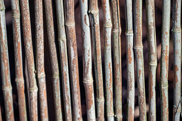 texture of the wood, nacka,sverige,stockholm.sweden
