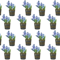 Blue hyacinth in wooden bucket in seamless pattern on white background. Watercolor hand drawing illustration. Spring flowers digital paper or wallpaper.