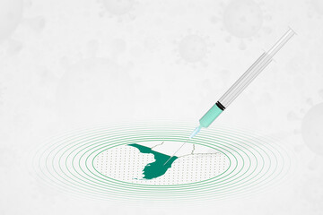 Florida vaccination concept, vaccine injection in map of Florida. Vaccine and vaccination against coronavirus, COVID-19.
