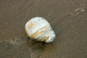 Rock on Beach Sand Polished By the Waves with Interesting Layered Strata