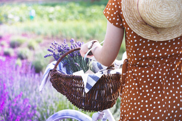Provence - girl at the lavender field