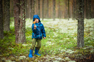 boy walks in the woods, selective focus 