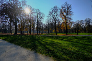 Fototapeta na wymiar Autumn landscape with trees. Fall park in sunlight across blue sky. Park Ducale in Parma, Italy