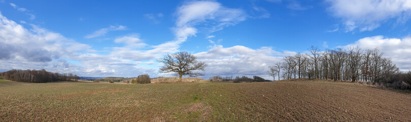 scenic panorama view of natural landscape under a cloudy sky