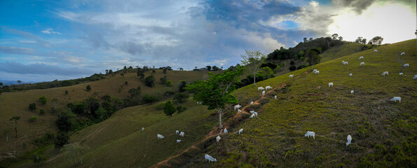 panorama of the mountains