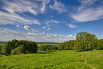 Fields and forests of Russia in summer