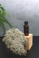 Spa cosmetics in brown glass bottles on natural background of moss,wood, tree bark and fern. Copy space for text.